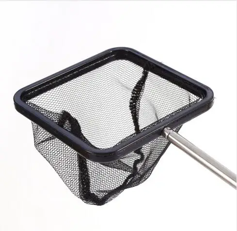 aquarium net betta fish Fluval Make tank maintenance quick and gentle with the Vibrant Life Fish Net Aquarium Betta Fish Net Protect