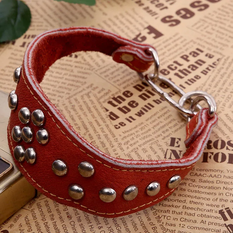 leather greyhound collars