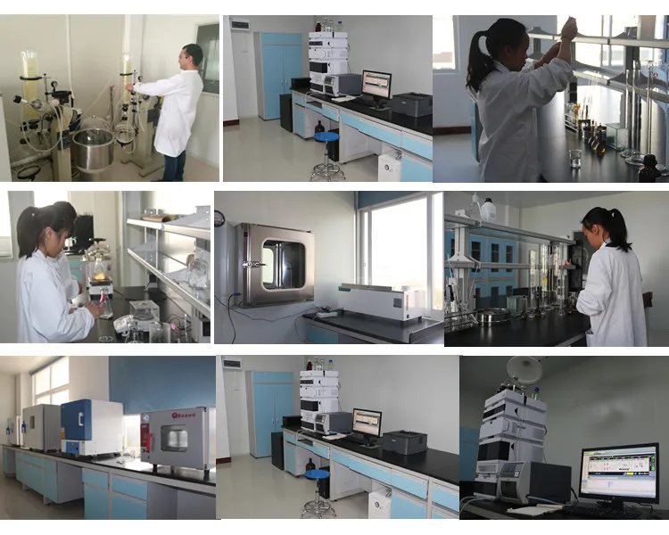 High Quality Hops Liquid Extract / Hops Extract Xanthohumol