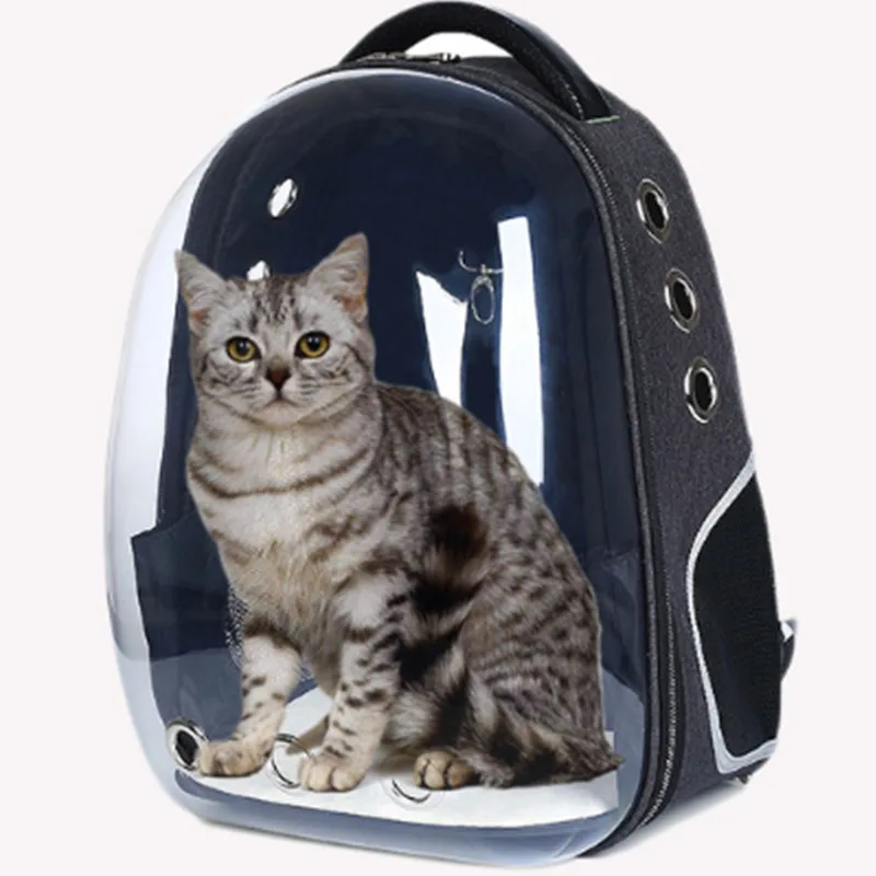 Кошка и сумка