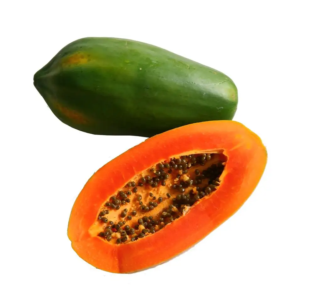 100 seeds Red Lady Papaya large great tasting fruit FREE shipping