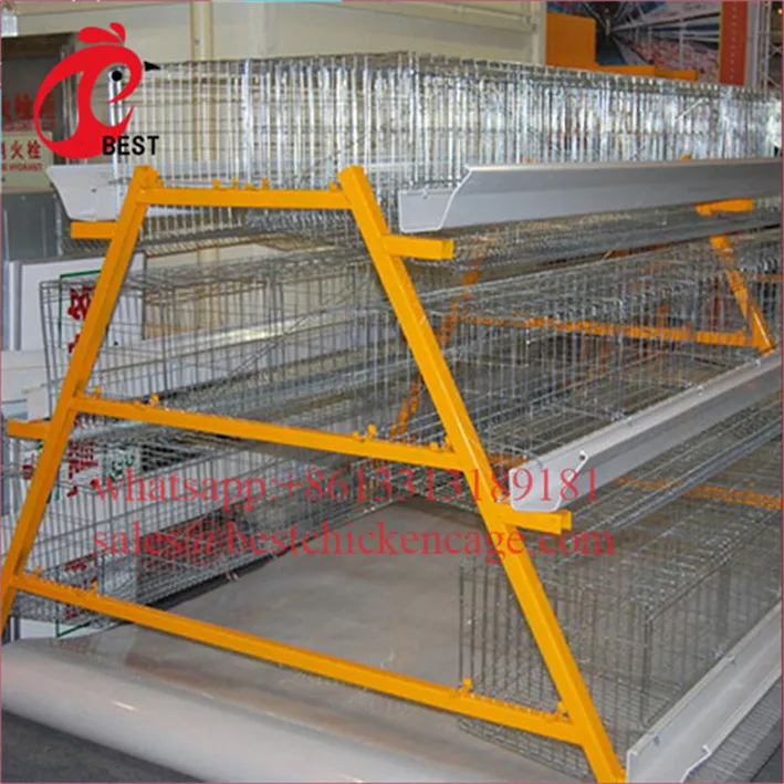 Клетка для разведения птиц курятника высокого качества по самой низкой цене, курятник 200
