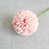 Rosa scuro