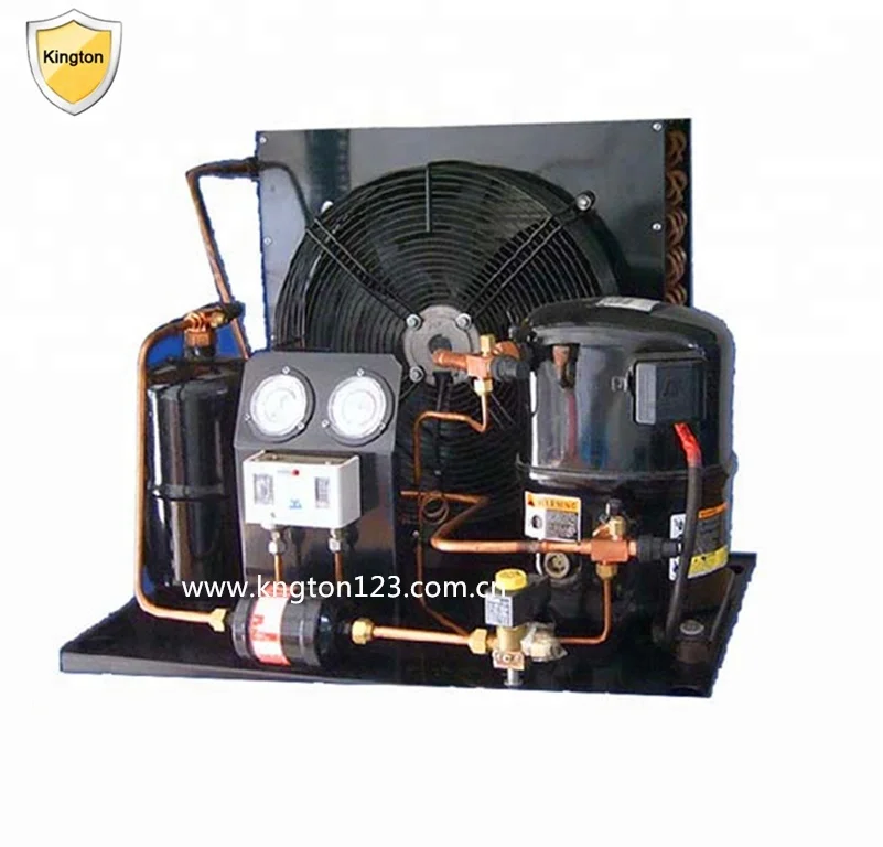 5hp Tecumseh Compressor Condensing Unit Special for Rearing Pond TAG4561