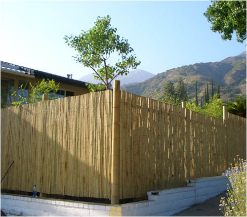 Natural Bamboo Fence For Garden Buy Natural Bamboo Fence Natural Bamboo Fence Product On Alibaba Com Natural Bamboo Fence For Garden Buy Natural Bamboo Fence Natural Bamboo Fence Product On Alibaba Com