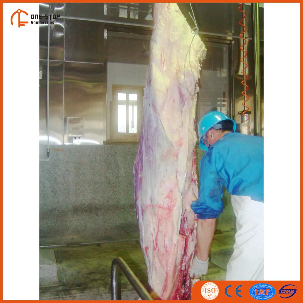 jarvis buster VI electronic meat band saw for pig slaughterhouse for sale
