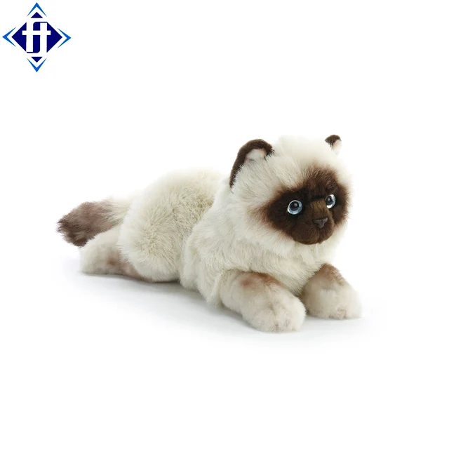 Mignon En Peluche Realiste Chat Siamois Buy Chat Siamois En Peluche Realiste Chat Siamois En Peluche Realiste Chat Siamois En Peluche Realiste Product On Alibaba Com