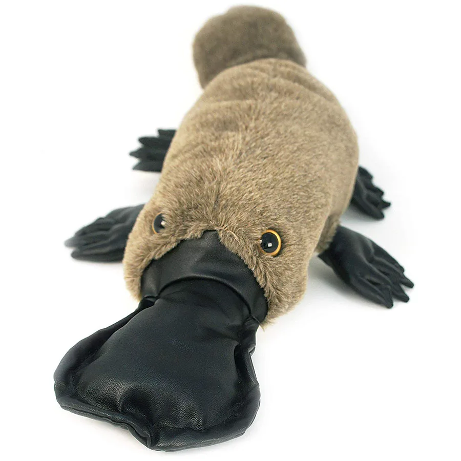 D187 Large Size Long Duck Billed Platypus Stuffed Animal Grey Fluffy Giant Animal Toys Plush Platypus Buy Plush Platypus Long Duck Billed Platypus Plush Stuffed Animal Plush Toys Platypus Product On Alibaba Com