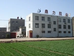 Tai'an Dingli Gum Industry Co., Ltd. 1