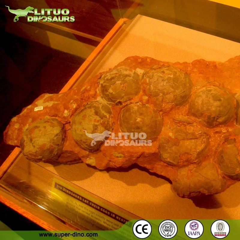 Simulation Dinosaur Egg Fossil for Sale