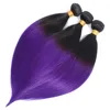 Ombre 1B/puro