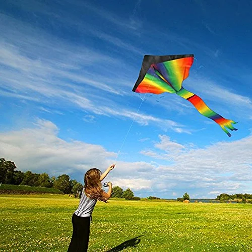 Grand Cerf-Volant Delta Arc-en-Ciel Plage - Nylon 210T Rip-Stop, Facile à Monter, Stable, Pour Enfants Et Adultes