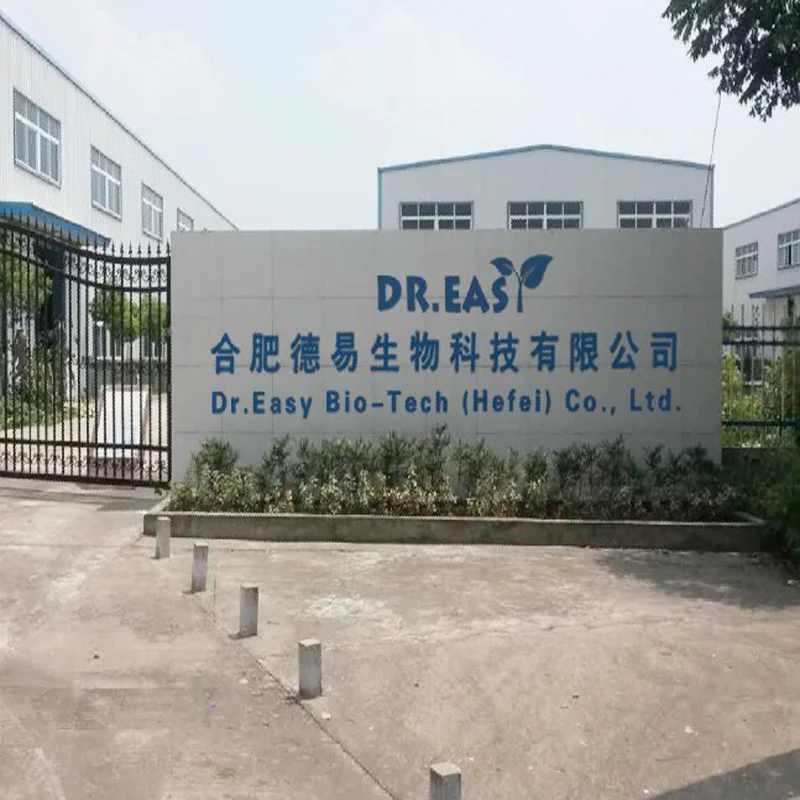 Company overview
