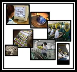 Pingyang Ansen Crafts Factory 2
