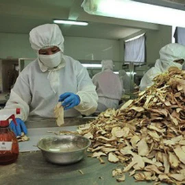 Linyi Yuanyuan Food Co., Ltd. 3
