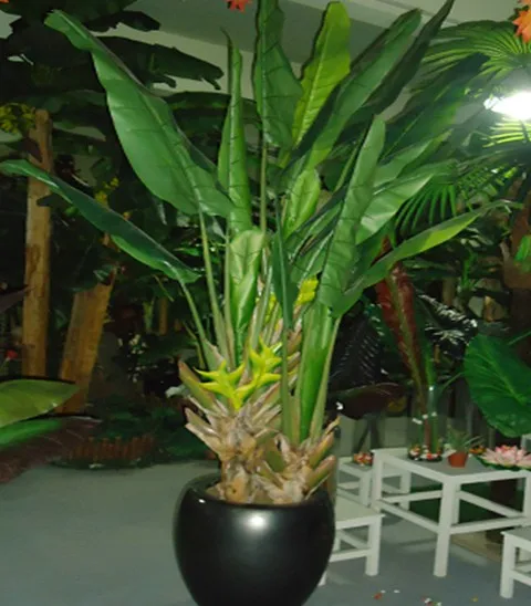 Mini Arbre A Chat En Soie Faux Arbre En Plastique En Forme De Feuille De Bananier En Chine Buy Arbre A Chat Feuille De Banane Faux Arbres En Plastique Faux Mini Arbres Product On