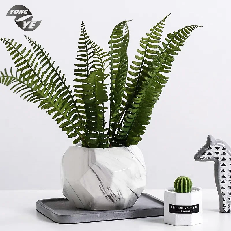 Erba Di Pampas Secca Decorazione Casa Bohémien Erba Della Pampa Essiccata 150 Pezzi 45cm - Decorazioni Bohemien 150 Cm Pampas Decorative Alte