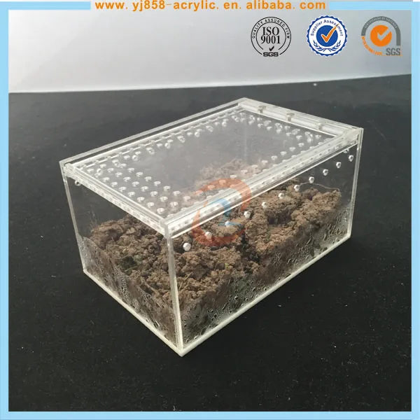 爬虫類用アクリル製スライド式蓋付きボックス（通気孔付き