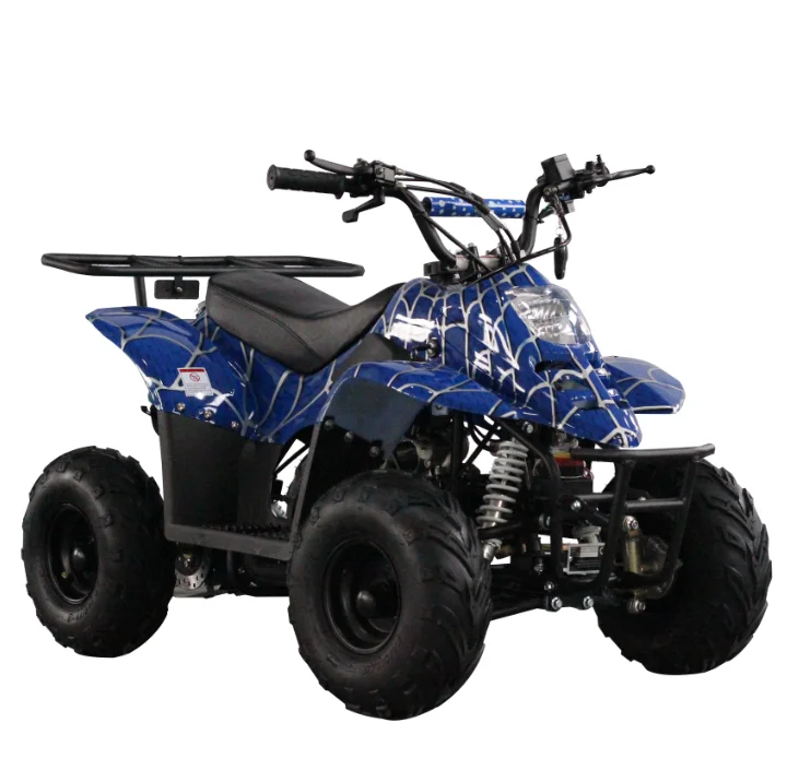 Дешевого 4-тактного/детскй 4-колесный 110cc гоночный quad велосипед, способный преодолевать Броды для продажи