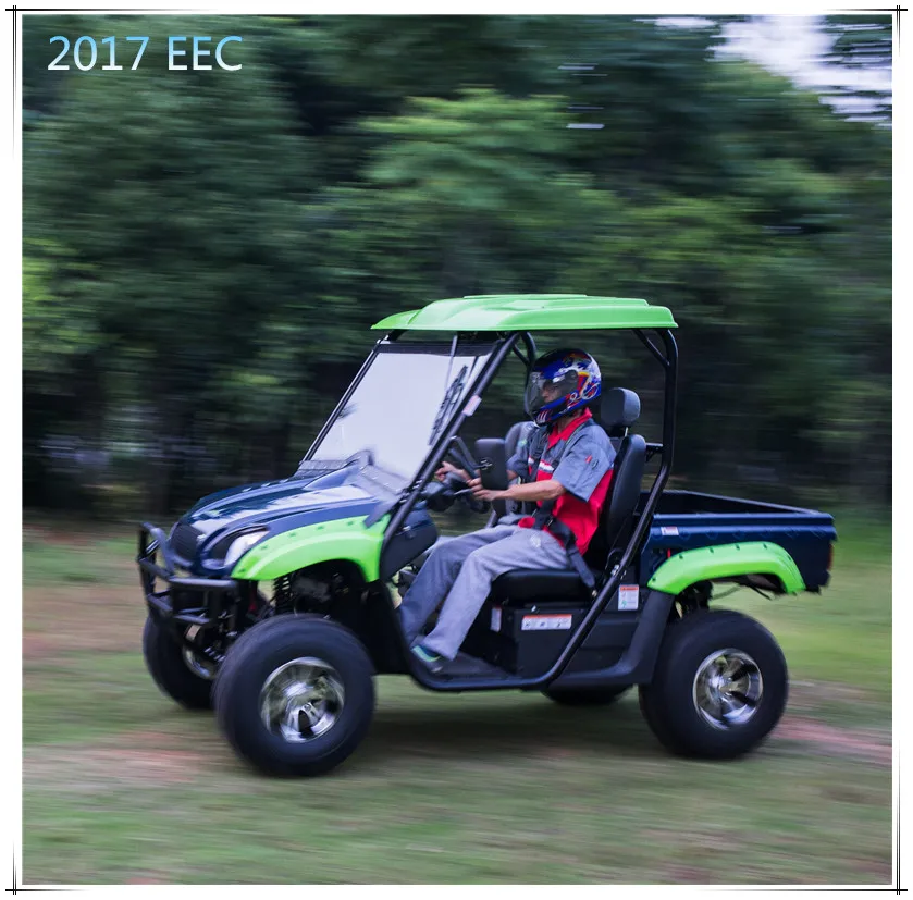 Green New Energy EEC Approved Automatic Transmission Electric UTV 4X4 Available for Sale