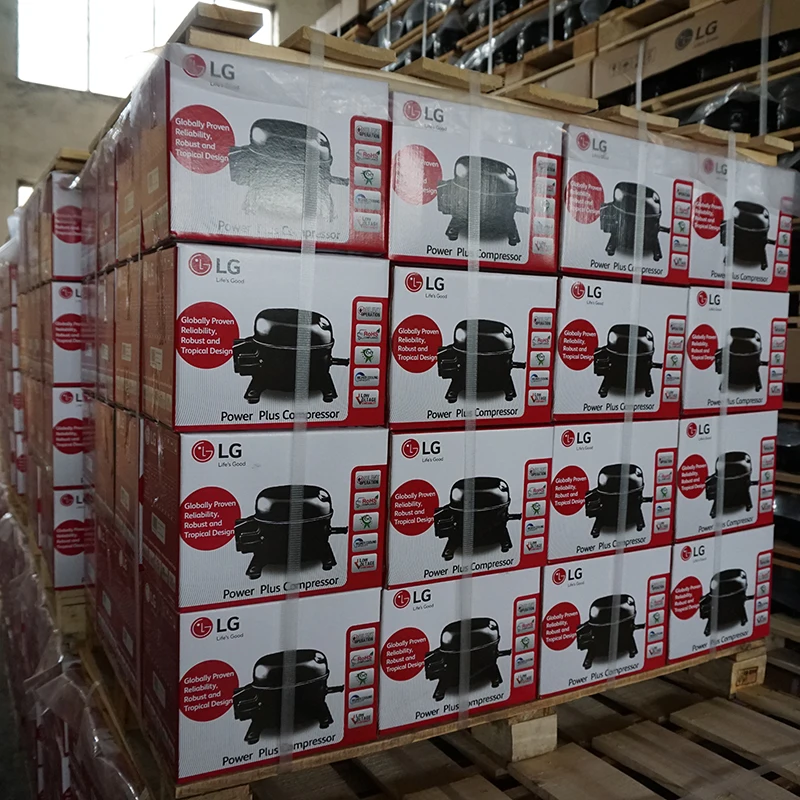 LG New Overload Protector Refrigerator Compressor National  Freezer in Separate Carton Loading