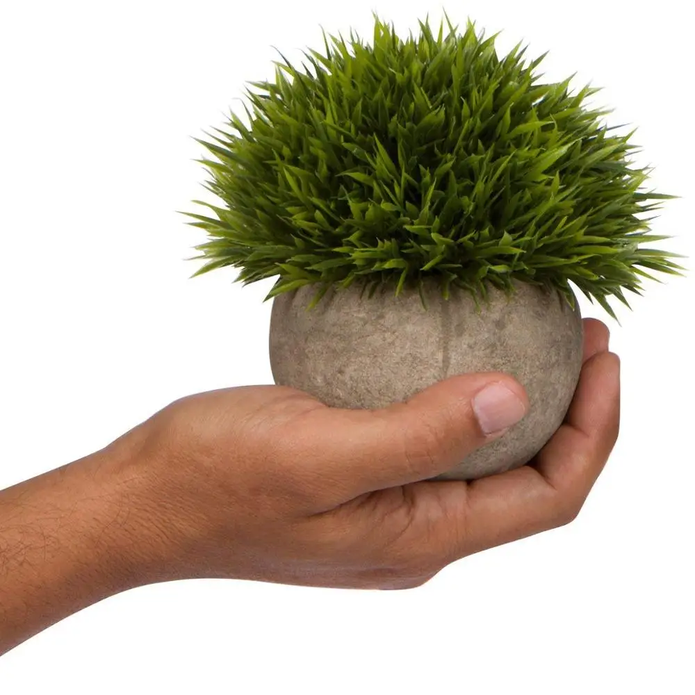 Lot De 4 Petites Plantes Artificielles En Pot - Succulentes Fausses Décoratives - Pour Bureau, Salle De Bain, Maison
