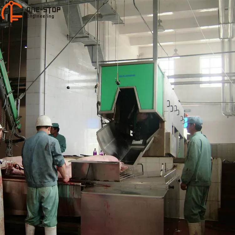 Pig electric stunner on mechanical pig slaughtering line in pig slaughterhouse