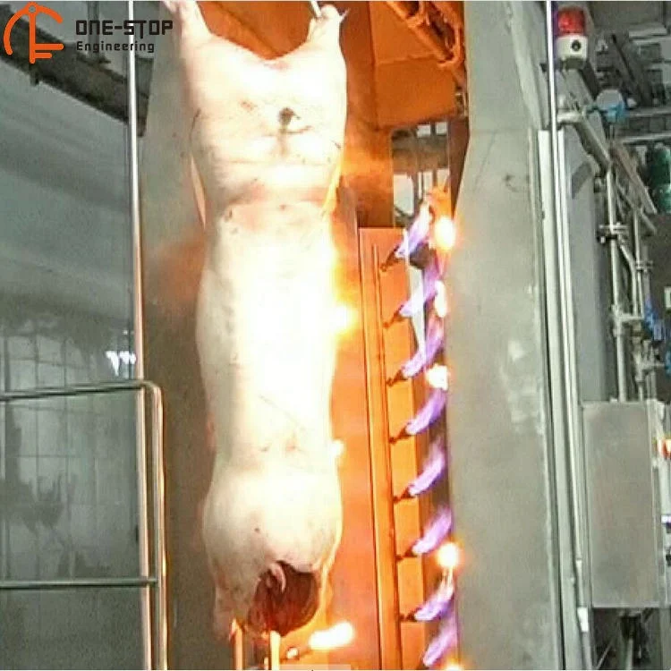Pig slaughterhouse turnkey project pig slaughtering line in slaughterhouse
