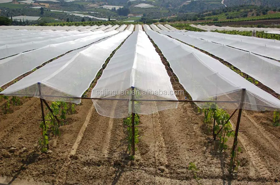 Hail Resistant Net JINGUAN 40-90 GSM Plastic Hail Net for Protection From Hail Damage ...