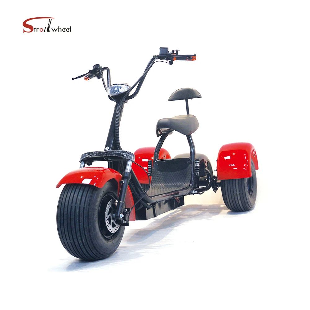 Electric Scooter Tricycle 1000w 