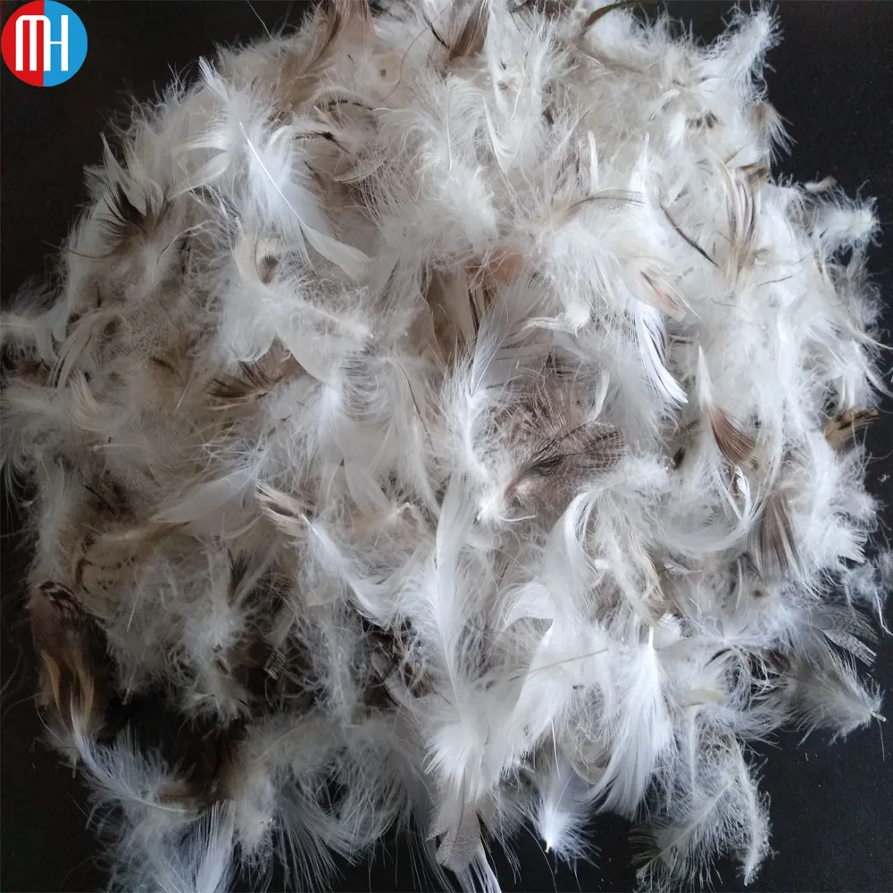 duck feather filling