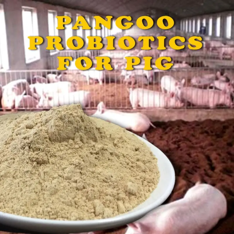 Mechanism of Action of Probiotics Ppt