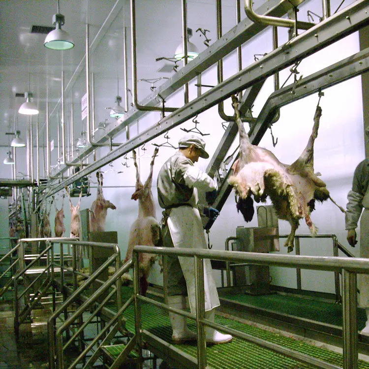 Jewish slaughterhouse cattle and sheep slaughtering machine