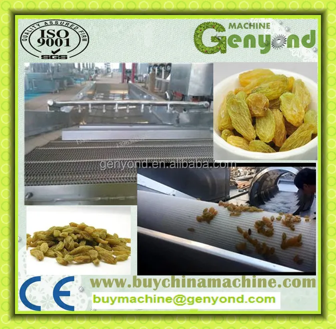 Industrial Raisin Cleaning and Sorting Line / Raisin Processing Machine