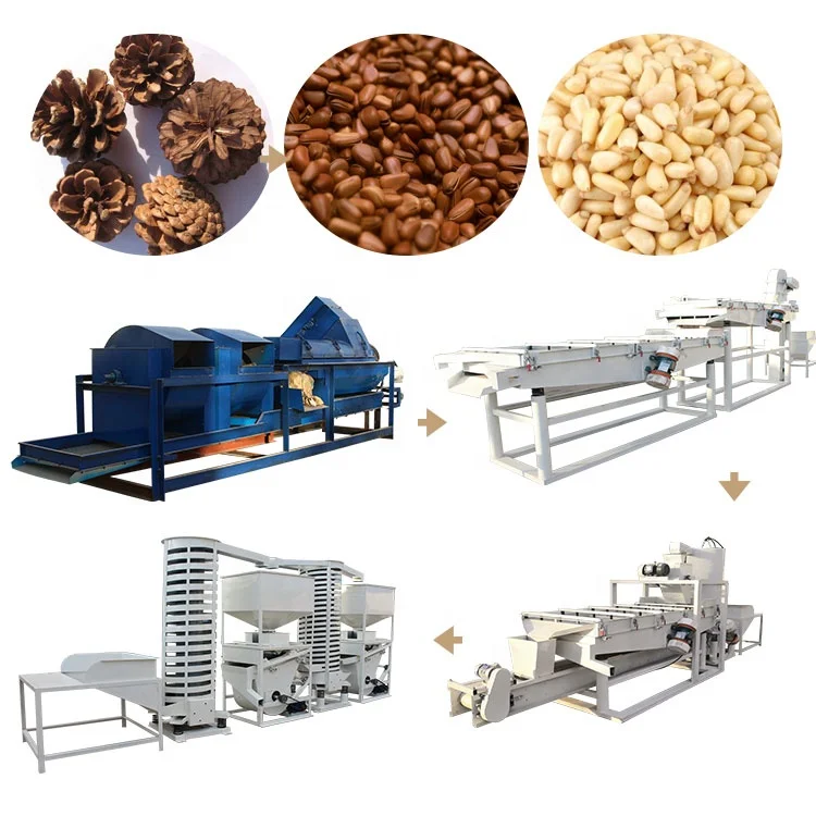 Commercial Use Cedar Nut Processing Shelling Pine Nut Peeling Machine