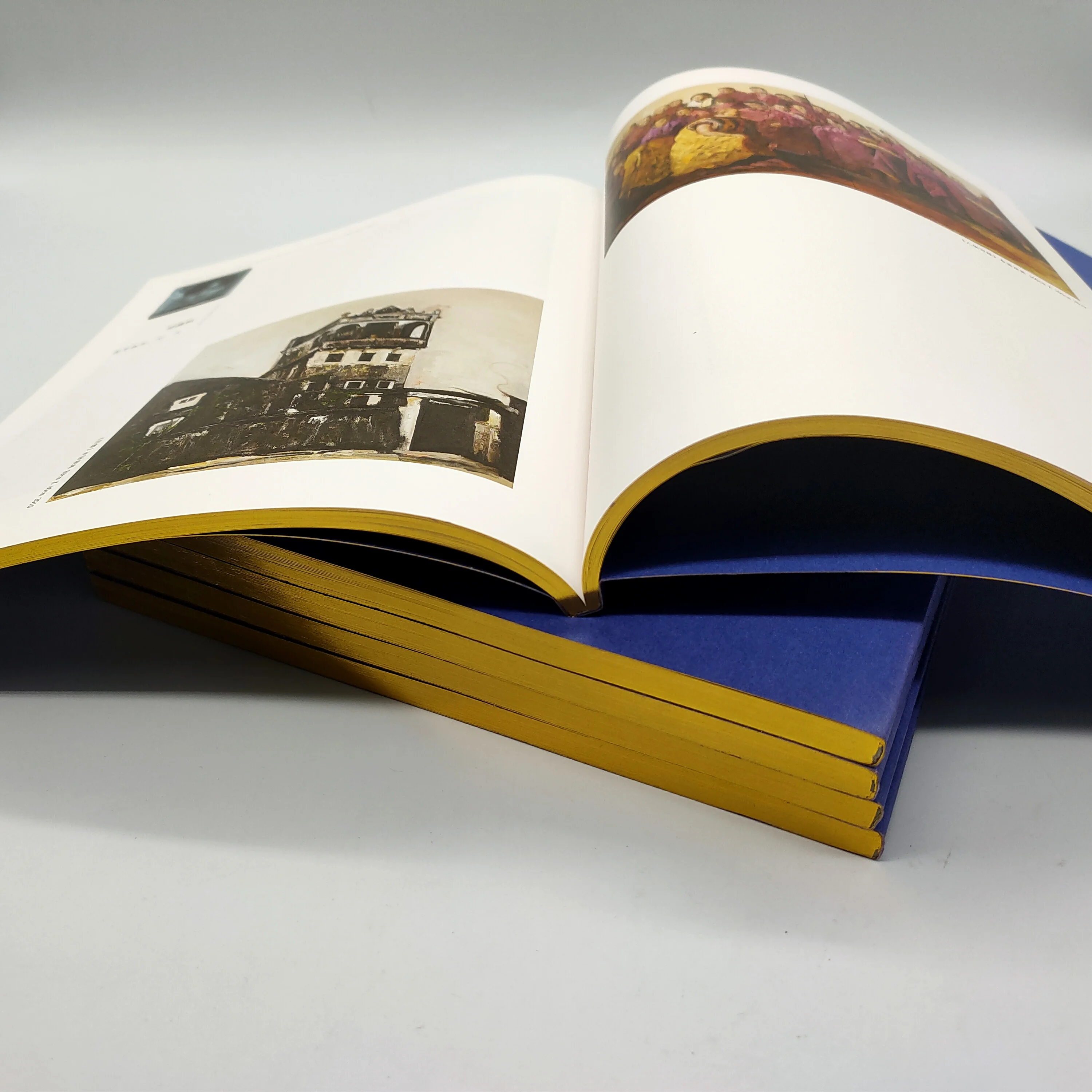 Пользовательская 100% биоразлагаемая переработанная цветная книга, услуги печати с фольгой, тиснение золотым краем