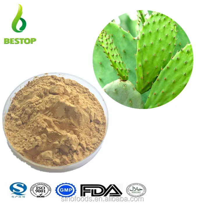 100 Organic 10 1 Cactus Extract Powder View San Pedro Cactus Extract San Pedro Cactus Extract Product Details From Fuyang Bestop Import And Export Ltd On Alibaba Com