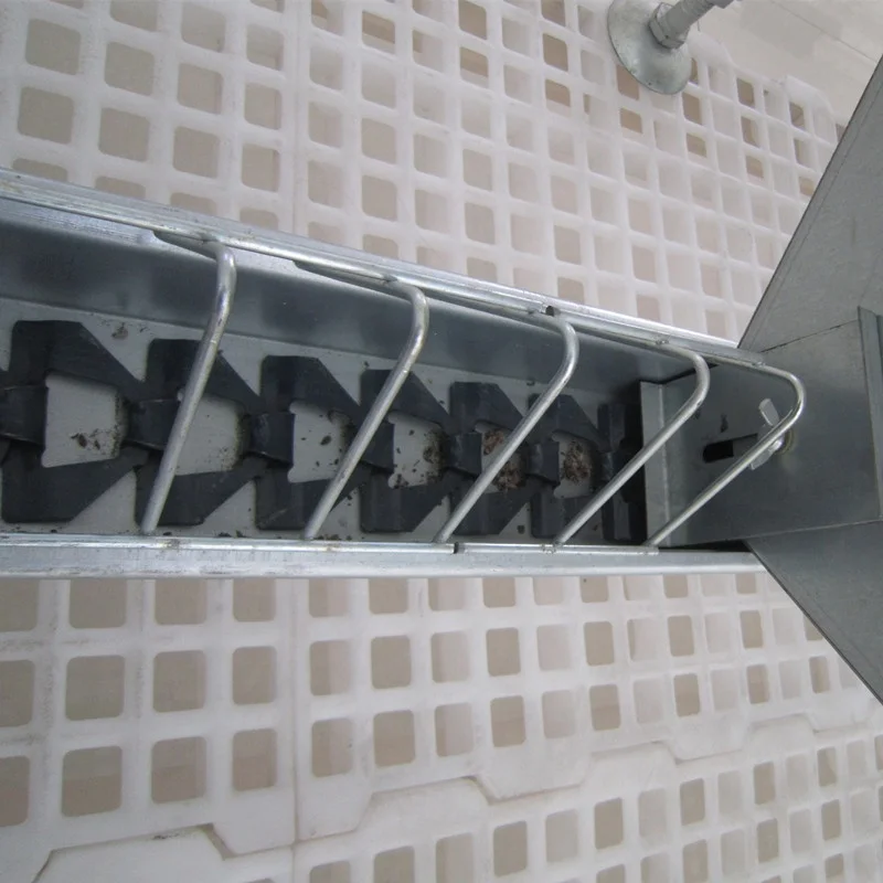 Poultry Automatic Feeder Chain Feeding System for Broiler and Breeder Hens