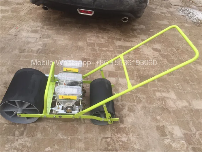 Семена овощей и моркови