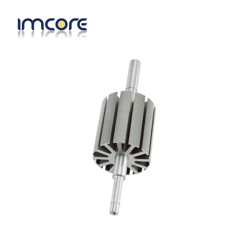 Brushless Motor Rotor Stator Lamination/DC Motor Lamination/motor Stator