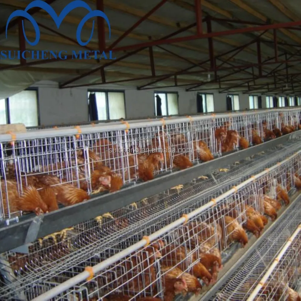 Factory Chicken Cages Layer 128 Poultry Farming Chicken Cage for Tanzania