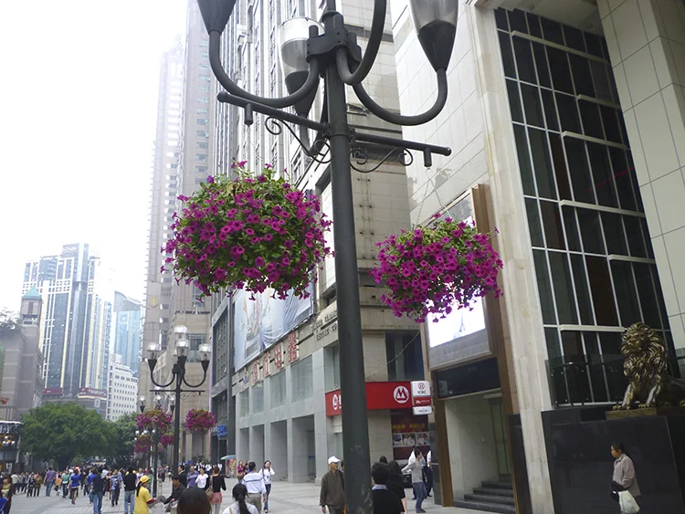 Подвесной цветочный горшок, садовые горшки для растений, подвесные садовые горшки из пластика, Китай