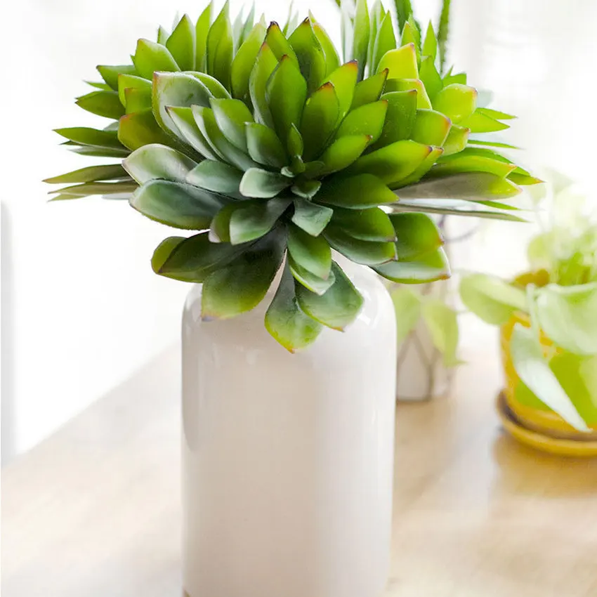 仿真大植物多肉植物装饰 Buy Flowering Succulent Plants Artificial Plants Artificial Mini Succulents Product On Alibaba Com