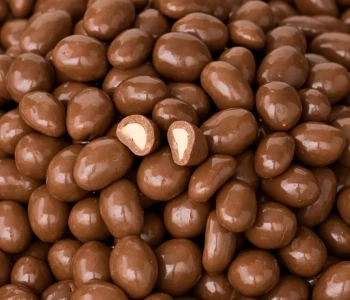 Mini Chocolate Making Machine for Coating Chocolate