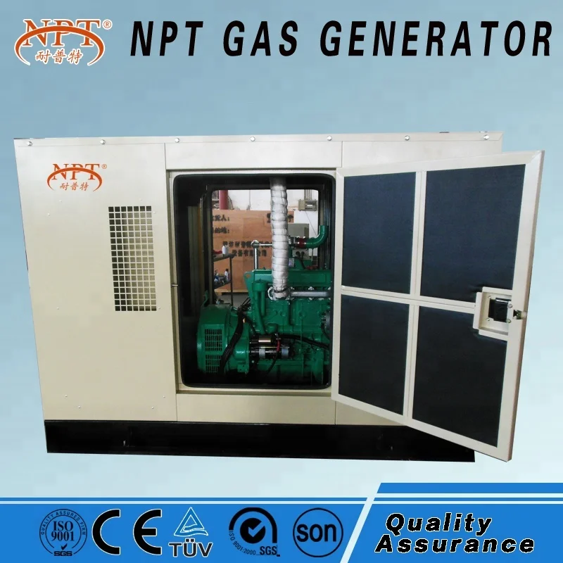 Customized CE Approved 25KW Generator Biogas for Electricity