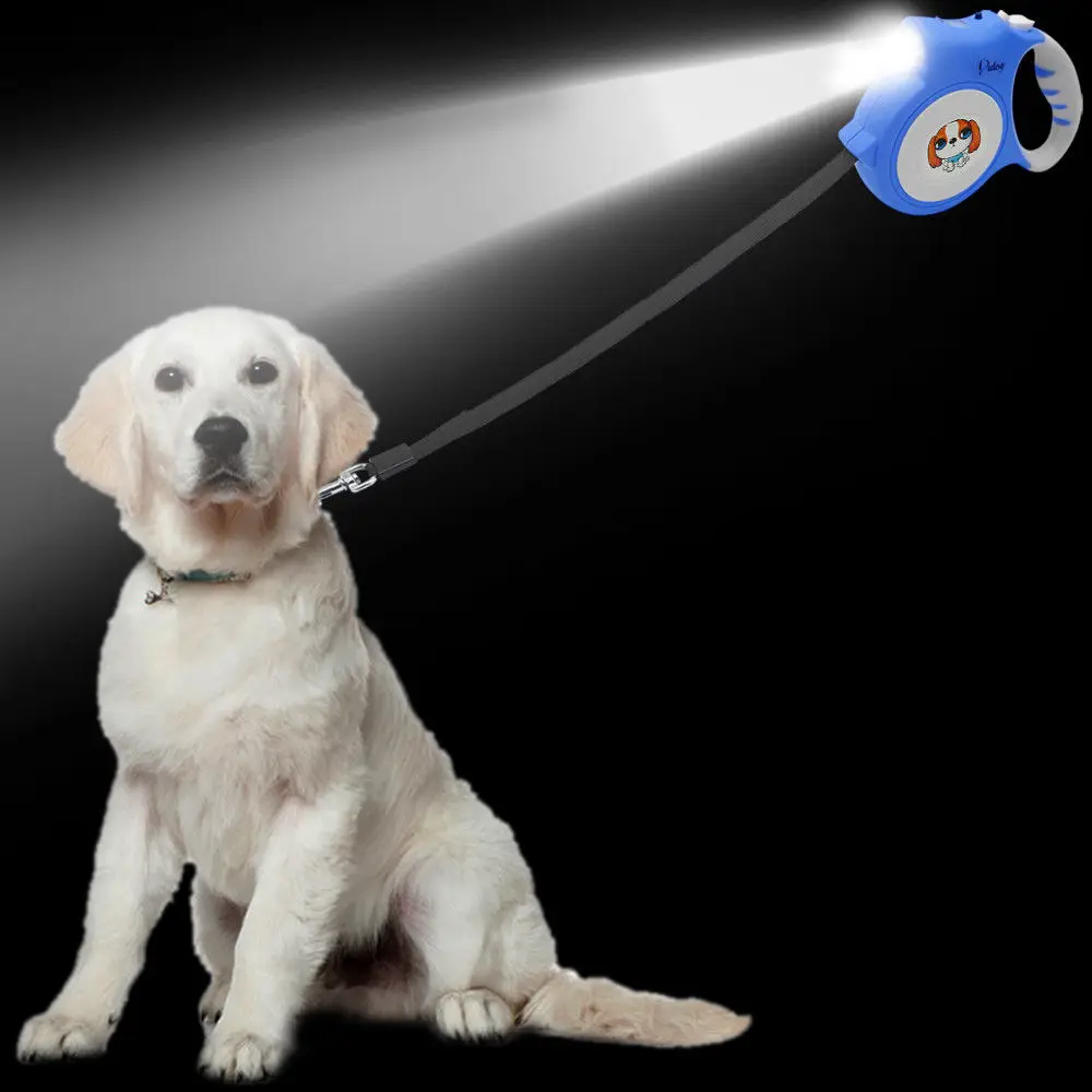 flashlight leash for dogs