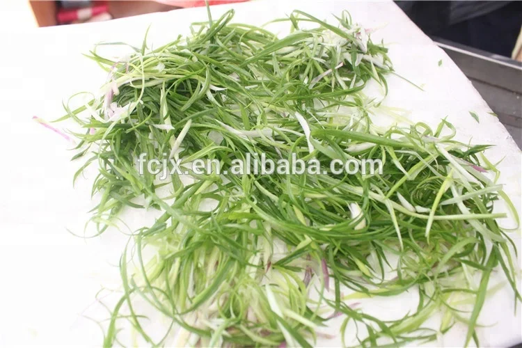 CS-50 Table Type Spring Onion Cutting Machine Celery Strips Cutting Machine  - China Leek Shredding Machine, Celery Strips Cutting Machine