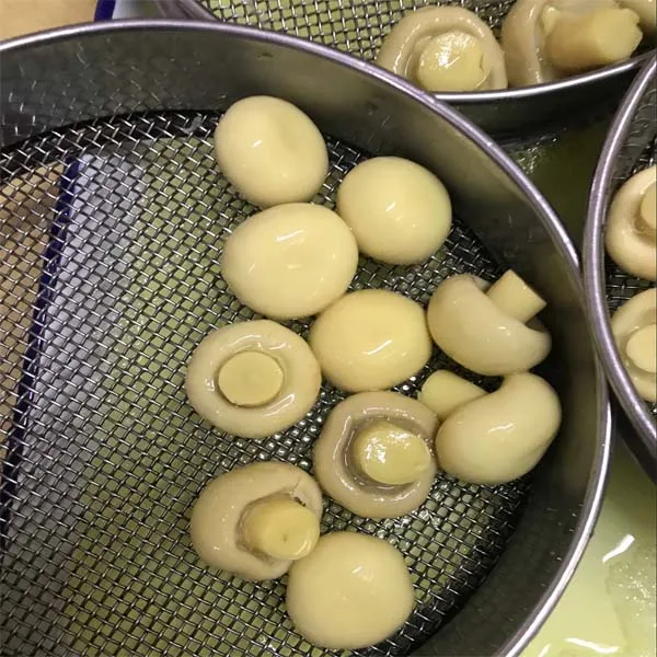 2jpgok.jpg