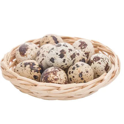 Canned Food 850G Canned quail eggs