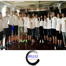 Shenzhen Hyllsi Technology Co., Ltd. 3